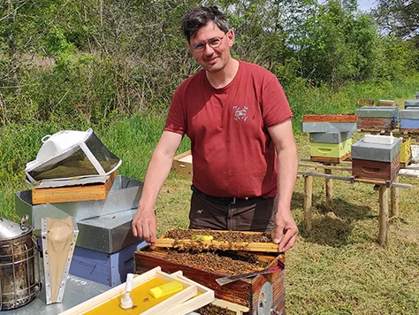 Capture des reines fécondées - L'abeille des Monts de Blond