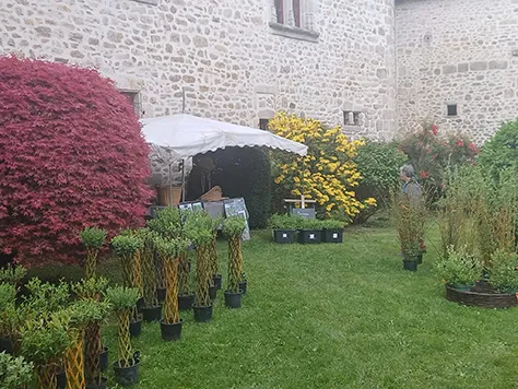 Fête des plantes de Mortemart - L'abeille des Monts de Blond