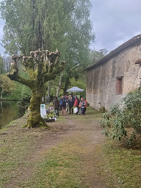 Mortemart - L'abeille des Monts de Blond